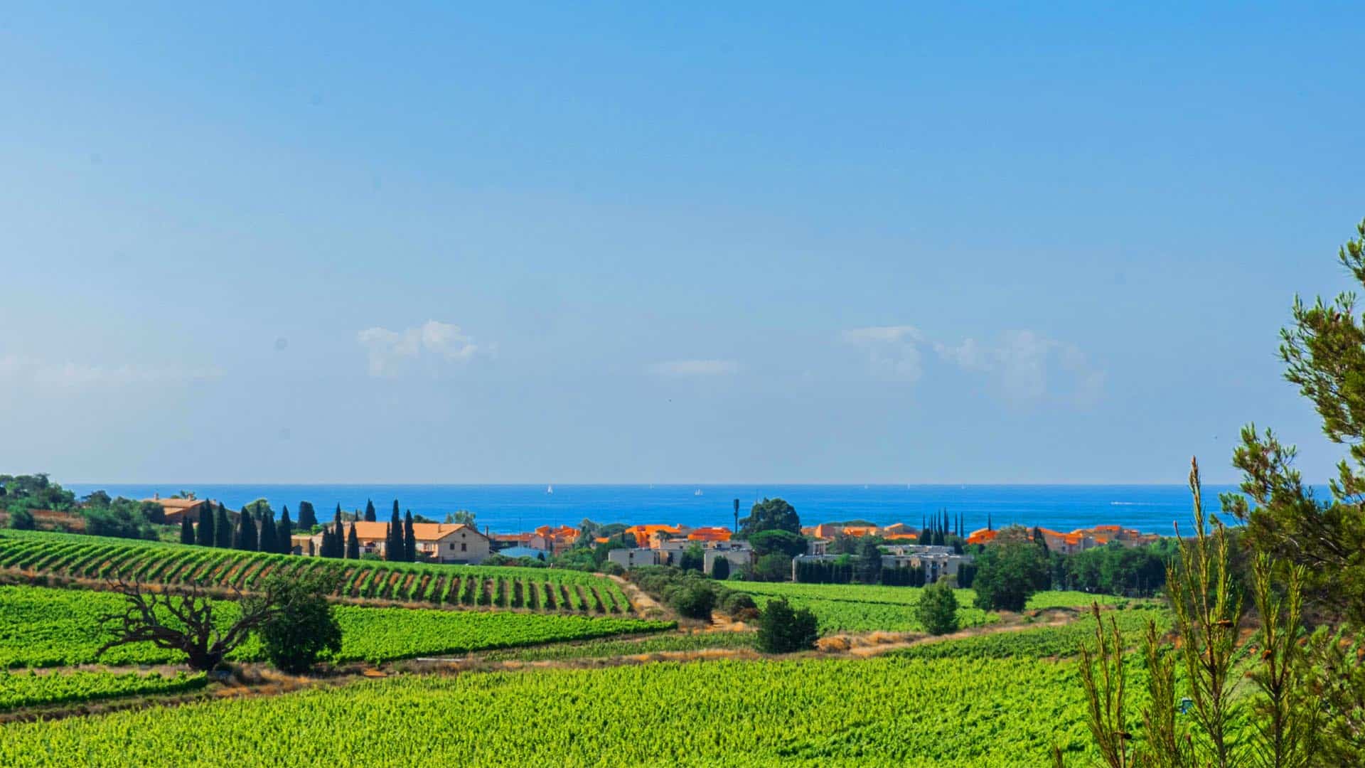 Azureva La Londe les Maures