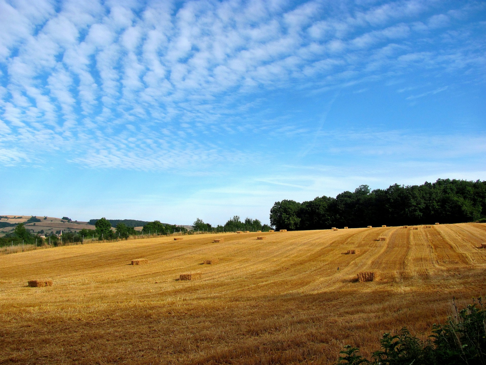 Vacances à la Campagne